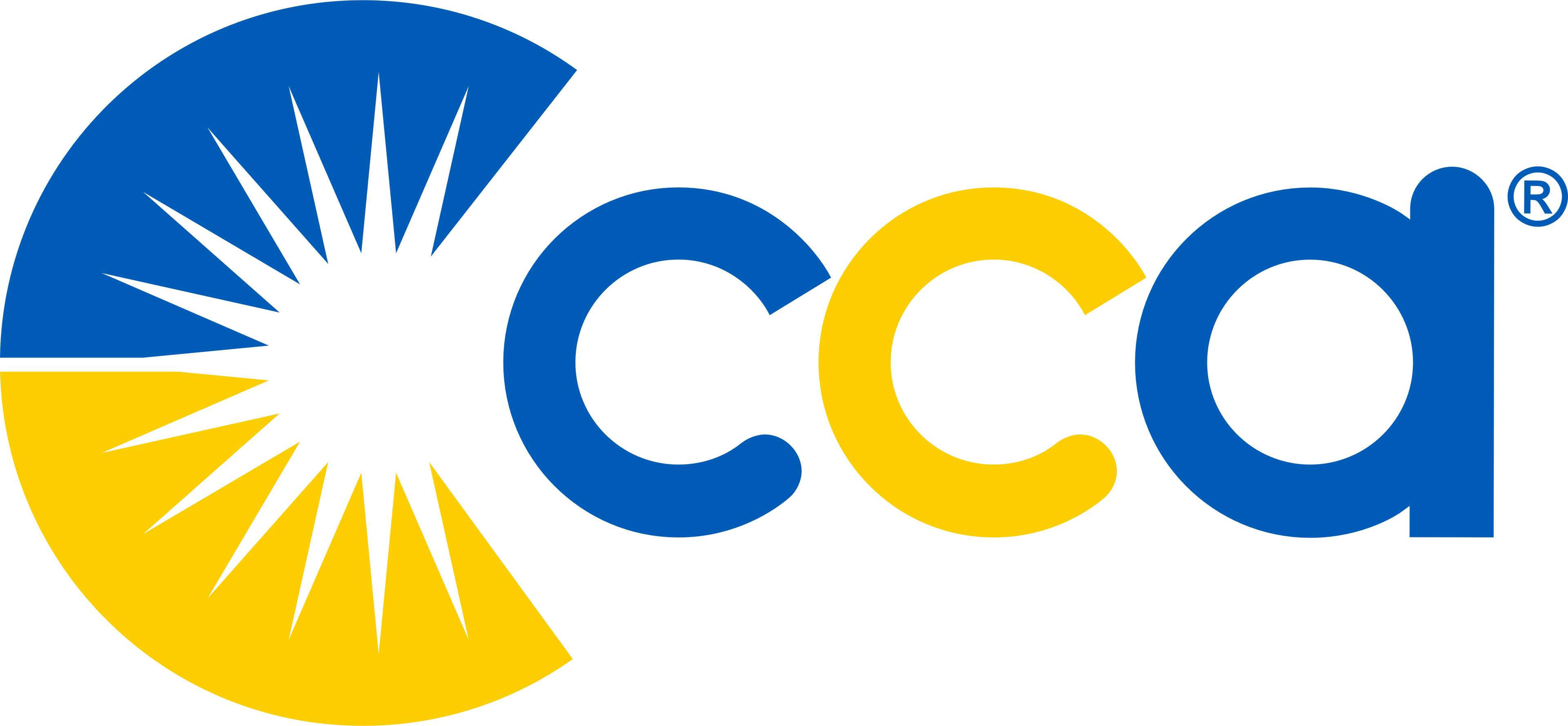 CCA Graduates Store